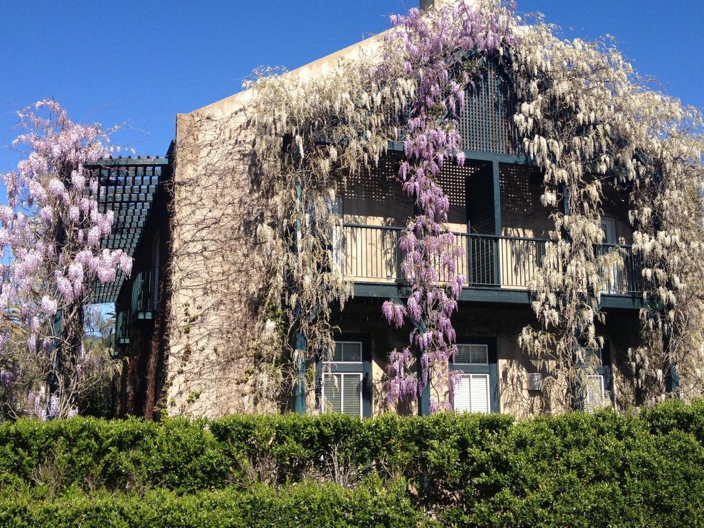 Southbridge Napa Valley Сент-Хелина Экстерьер фото